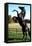 Prince Noir Black Beauty De Caroline Thompson Avec Le Cheval Prince Noir En Train De Se Cabrer 1994-null-Framed Stretched Canvas