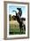 Prince Noir Black Beauty De Caroline Thompson Avec Le Cheval Prince Noir En Train De Se Cabrer 1994-null-Framed Photo