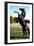 Prince Noir Black Beauty De Caroline Thompson Avec Le Cheval Prince Noir En Train De Se Cabrer 1994-null-Framed Photo