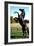 Prince Noir Black Beauty De Caroline Thompson Avec Le Cheval Prince Noir En Train De Se Cabrer 1994-null-Framed Photo