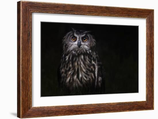 Prince Of The Night-Martine Benezech-Framed Giclee Print