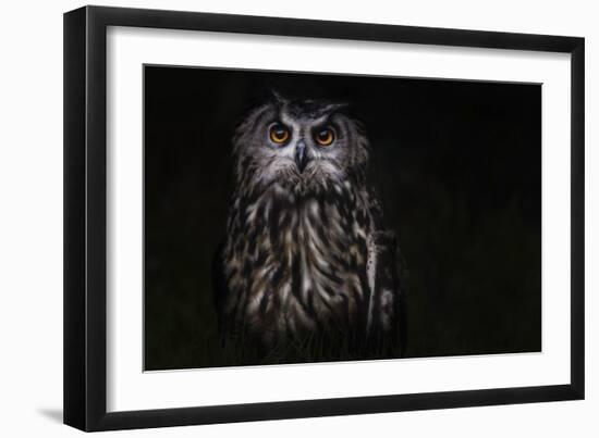 Prince Of The Night-Martine Benezech-Framed Giclee Print