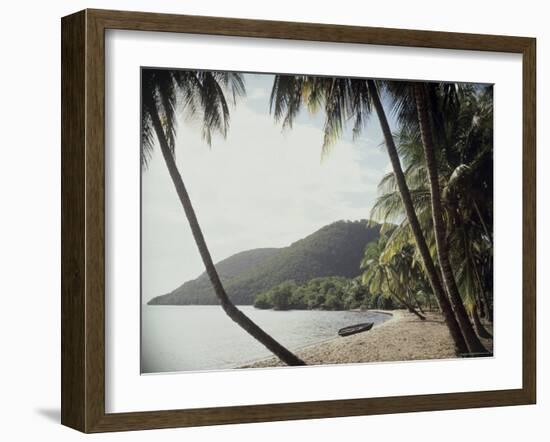 Prince Rupert Bay, Dominica-null-Framed Photographic Print