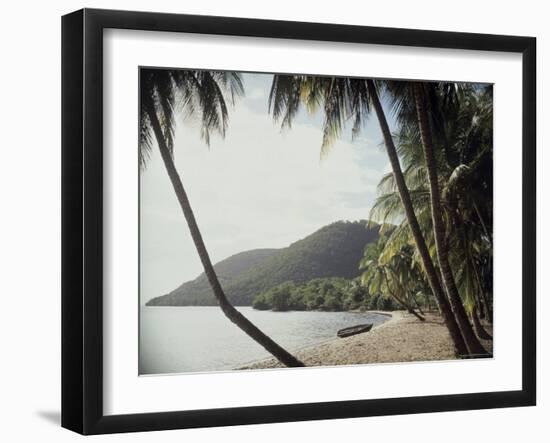 Prince Rupert Bay, Dominica-null-Framed Photographic Print