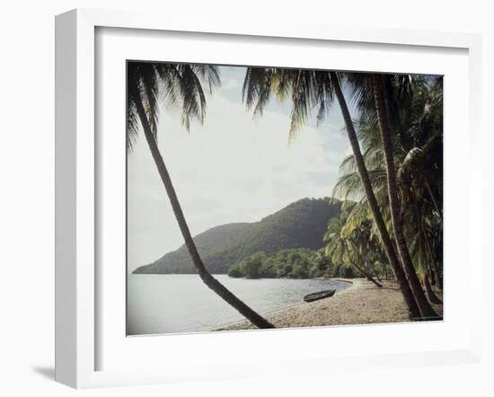 Prince Rupert Bay, Dominica-null-Framed Photographic Print