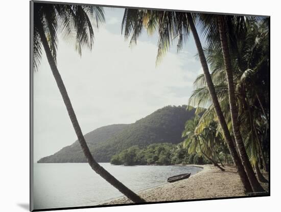 Prince Rupert Bay, Dominica-null-Mounted Photographic Print