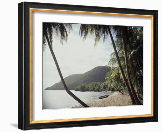 Prince Rupert Bay, Dominica-null-Framed Photographic Print