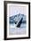 Prince Rupert, BC Canada - Humpback Whale-Lantern Press-Framed Art Print