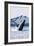 Prince Rupert, BC Canada - Humpback Whale-Lantern Press-Framed Art Print