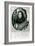 Prince Rupert of the Rhine Engraved by William Faithorne-William Dobson-Framed Giclee Print