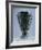 Prince's Vase', in Black Steatite, from Aghia Triadha-null-Framed Giclee Print