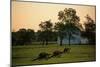 Prince William County, Manassas Battlefield Park, Hallowed Ground; Virginia, 2004 (Photo)-Kenneth Garrett-Mounted Giclee Print