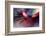 Prince-Ursula Abresch-Framed Photographic Print