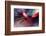 Prince-Ursula Abresch-Framed Photographic Print