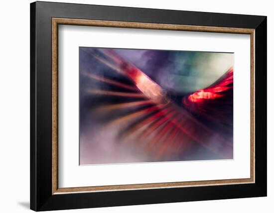 Prince-Ursula Abresch-Framed Photographic Print