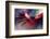 Prince-Ursula Abresch-Framed Photographic Print