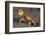 Princely fiddler crab, Baja California Peninsula, Mexico-Claudio Contreras-Framed Photographic Print