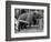 Princess Anne's Bear on His Swing-null-Framed Premium Photographic Print