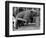 Princess Anne's Bear on His Swing-null-Framed Premium Photographic Print