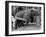 Princess Anne's Bear on His Swing-null-Framed Photographic Print