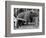 Princess Anne's Bear on His Swing-null-Framed Photographic Print