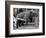 Princess Anne's Bear on His Swing-null-Framed Photographic Print