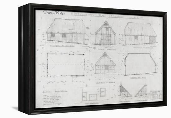 Princess Bride the Movie: Buttercups Farm Illustration-null-Framed Stretched Canvas