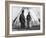 Princess Dawn Mist and Lincoln-null-Framed Photographic Print