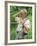 Princess Diana Adjusts Her Face Protector During Her Visit to Mine Fields in Haumbo Angola-null-Framed Photographic Print