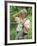 Princess Diana Adjusts Her Face Protector During Her Visit to Mine Fields in Haumbo Angola-null-Framed Photographic Print