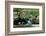 Princess Diana with Prince William and Prince Harry on Ride-Associated Newspapers-Framed Photo