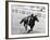 Princess Margaret Riding a Horse at Ascot Before Spectators Arrive For Meeting-null-Framed Photographic Print