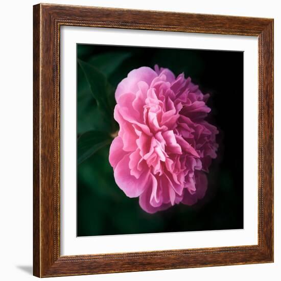 Princess-Philippe Sainte-Laudy-Framed Photographic Print