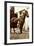 Prins Harald, Prinz Harald Von Norwegen Als Cowboy, Kleines Kind, Pferd-null-Framed Giclee Print