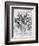 Print After a Drawing of Five Characters in a Comic Scene by Leonardo da Vinci-Bettmann-Framed Giclee Print