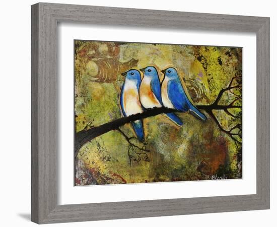 Print Art Bluebird Trio-Blenda Tyvoll-Framed Art Print