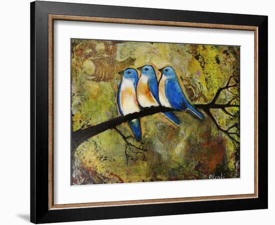 Print Art Bluebird Trio-Blenda Tyvoll-Framed Art Print