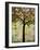 Print Art Chickadee Tree-Blenda Tyvoll-Framed Art Print