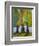 Print Art Trees At the Forests Edge-Blenda Tyvoll-Framed Art Print