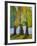 Print Art Trees At the Forests Edge-Blenda Tyvoll-Framed Art Print