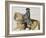 Print Depicting King George II on Horseback-null-Framed Giclee Print