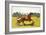 Print of a Trotting Pony Pulling a Racing Cart by Charles Olncelin-Stapleton Collection-Framed Giclee Print