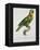 Print of an Amazon Parrot by Jacques Barraband-Stapleton Collection-Framed Premier Image Canvas