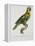 Print of an Amazon Parrot by Jacques Barraband-Stapleton Collection-Framed Premier Image Canvas