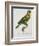 Print of an Amazon Parrot by Jacques Barraband-Stapleton Collection-Framed Giclee Print