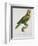 Print of an Amazon Parrot by Jacques Barraband-Stapleton Collection-Framed Giclee Print