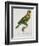 Print of an Amazon Parrot by Jacques Barraband-Stapleton Collection-Framed Giclee Print