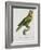 Print of an Amazon Parrot by Jacques Barraband-Stapleton Collection-Framed Giclee Print