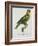 Print of an Amazon Parrot by Jacques Barraband-Stapleton Collection-Framed Giclee Print