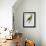 Print of an Amazon Parrot by Jacques Barraband-Stapleton Collection-Framed Giclee Print displayed on a wall